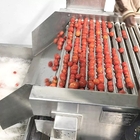 Industrial Tomato Paste Making Machine Automatic Ketchup Processing Plant