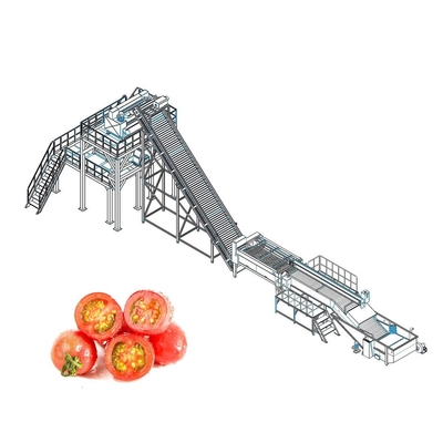 Automatic Tomato Processing Line For Paste Making 110V