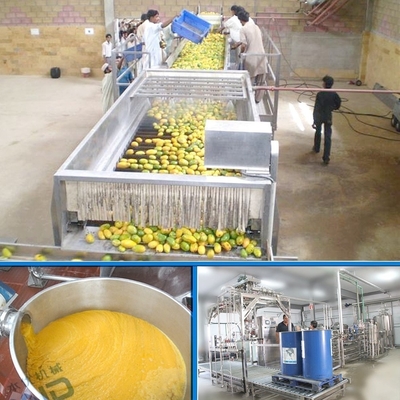 Mango juice processing line mango juice processing plant cost