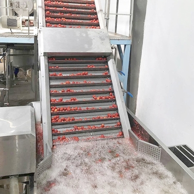 50Hz Fresh Tomato Paste Processing Equipment Automatic Ketchup Production Line