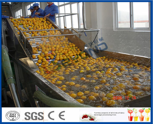 Energy Saving Orange Processing Line dengan Mesin Pengisi Botol Kaca / PET
