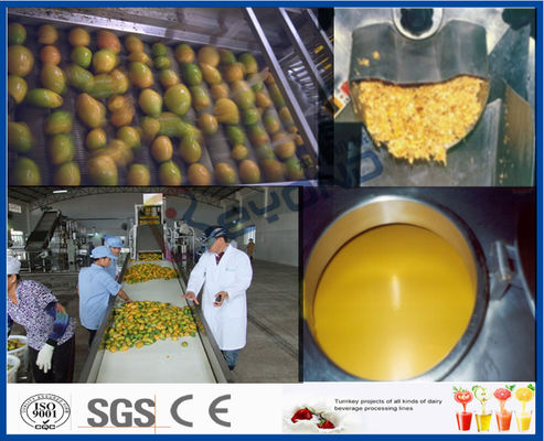 Mesin Pengolahan Mangga Pulp Pengolahan Mangga dengan Mesin Paket Aseptik
