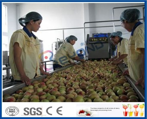 Peach / Apricot / Plum Fruit Juice Production Line Mesin Pengolahan Buah
