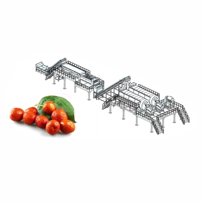 Lini Produksi Jus Delima Industri 2 - 50T/H Peralatan Pembuatan Jus Delima