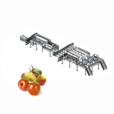 Mengangkat Peralatan Pemrosesan Buah Apple Grading Untuk Klasifikasi